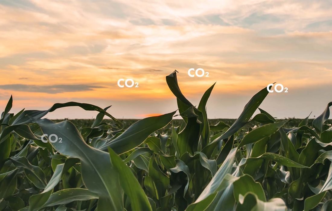 net-zero-plants